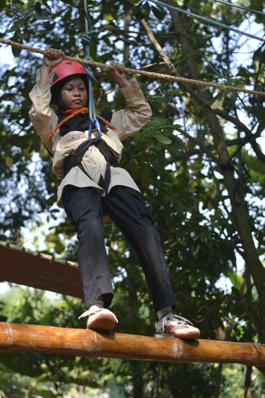 sd 3